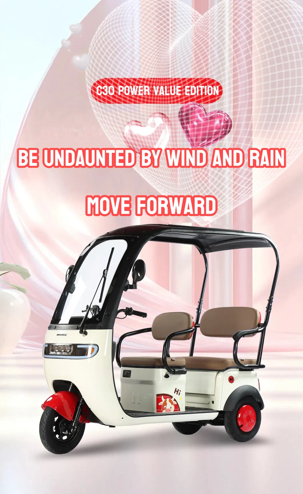 Factory Customized 3 Wheel Motorcycle Cargo and Passenger Electric Tricycle with Roof - detail 1