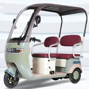 Factory Price Wholesale Moped Electric Bike 3 Wheel Cargo Electric Tricycle for Adult