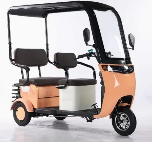 Factory Price Wholesale Moped Electric Bike 3 Wheel Cargo Electric Tricycle for Adult - detail 6