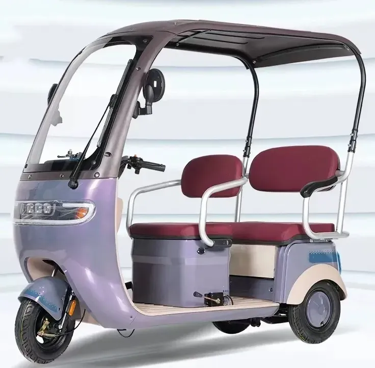 Factory Price Wholesale Moped Electric Bike 3 Wheel Cargo Electric Tricycle for Adult - detail 10