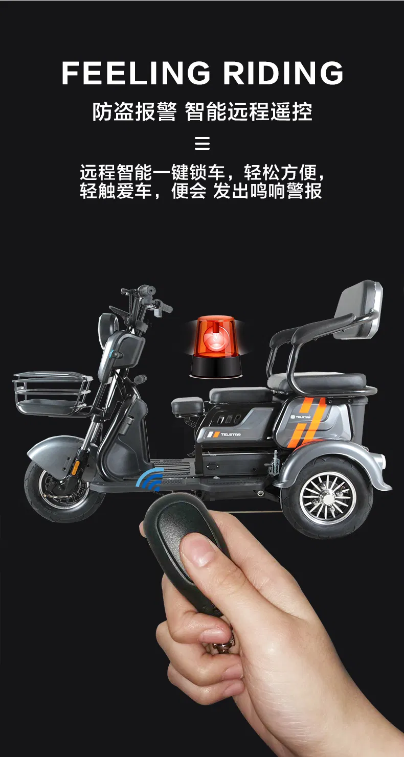 Easy to Ride Cargo Delivery Electric Trike Tricycle - detail 11