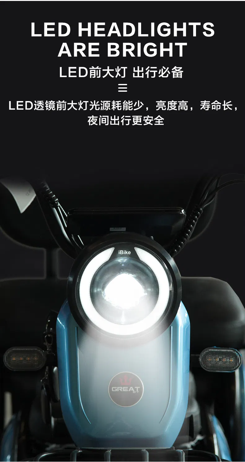 Easy to Ride Cargo Delivery Electric Trike Tricycle - detail 15