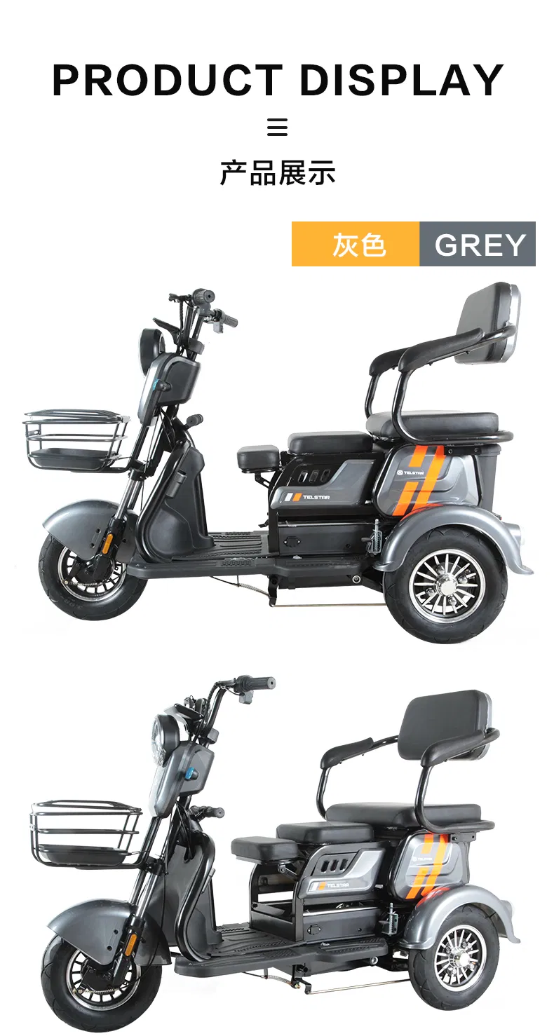 Easy to Ride Cargo Delivery Electric Trike Tricycle - detail 17