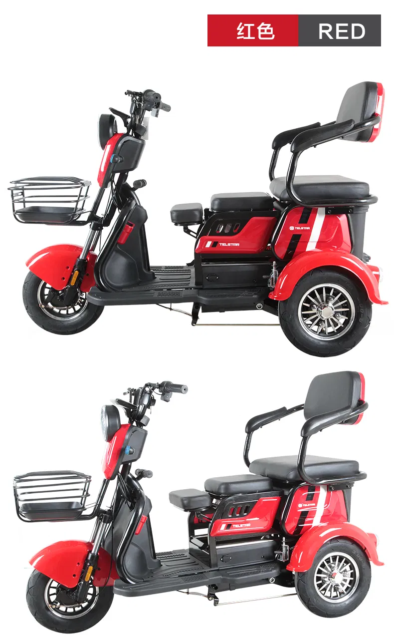 Easy to Ride Cargo Delivery Electric Trike Tricycle - detail 19