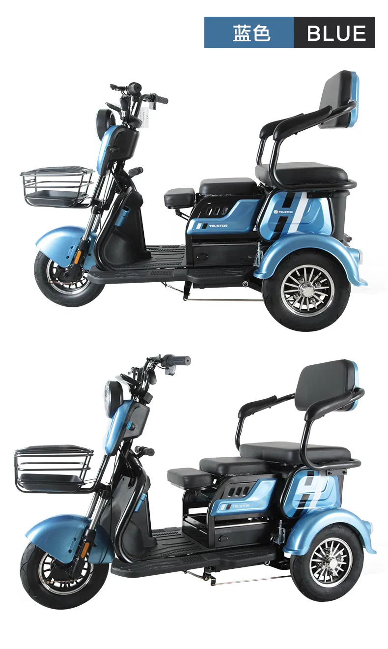 Easy to Ride Cargo Delivery Electric Trike Tricycle - detail 20