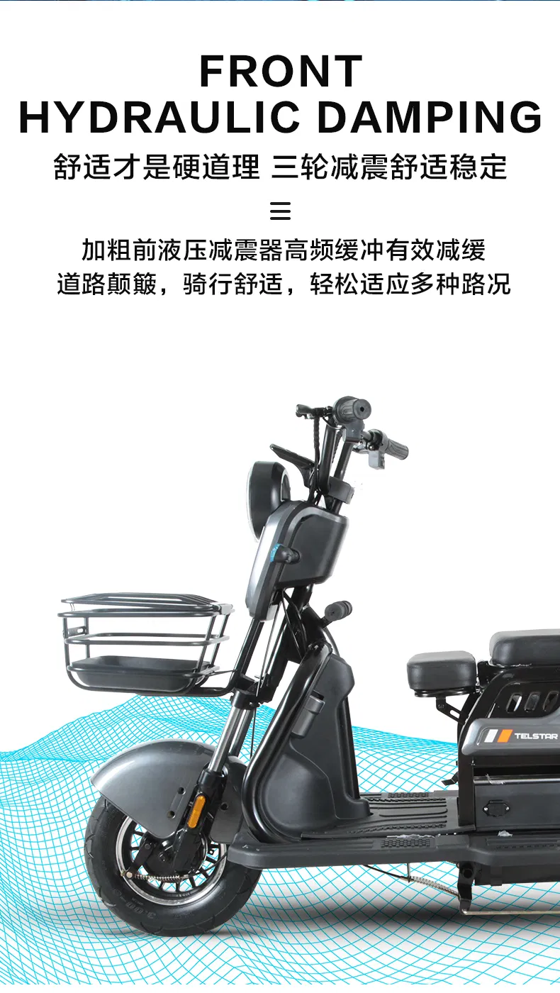 Easy to Ride Cargo Delivery Electric Trike Tricycle - detail 6