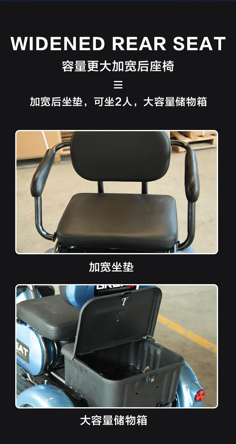 Easy to Ride Cargo Delivery Electric Trike Tricycle - detail 9