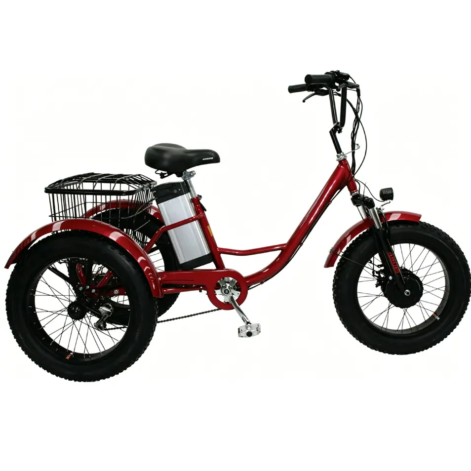 Premium Hot Sale 3 Wheel Cargo Electric Tricycle/48V 350W Reliable Adult E-Tricycle/China Factory High-Capacity Electric Bicycle for Commuting & Utility - detail 2