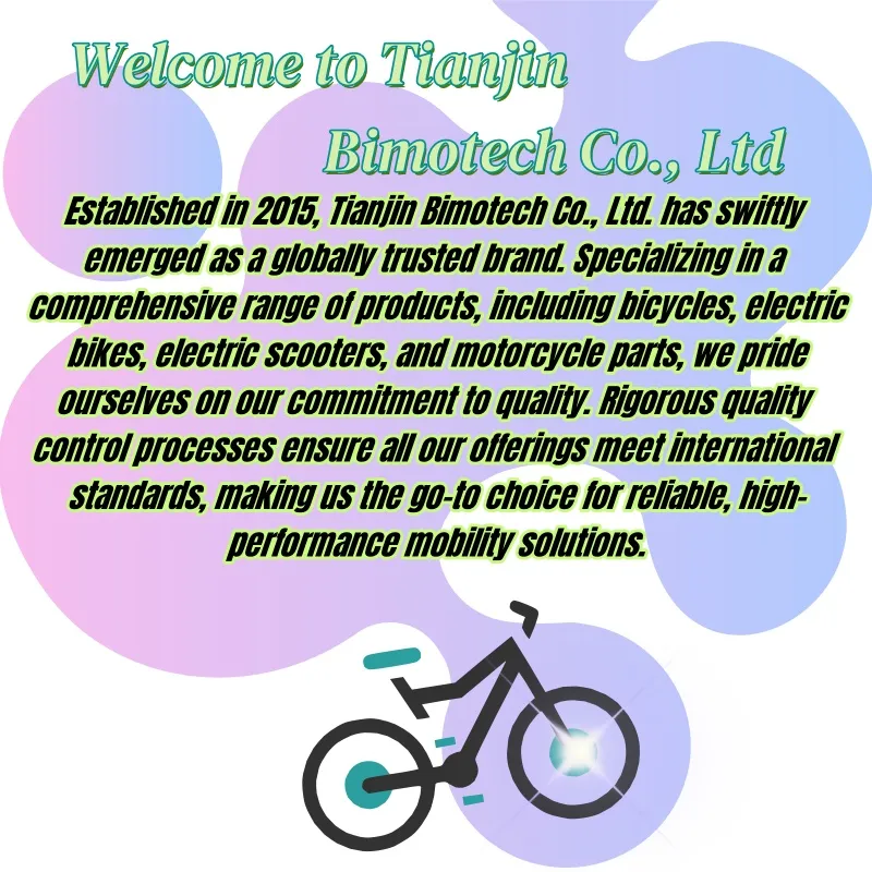 Premium Hot Sale 3 Wheel Cargo Electric Tricycle/48V 350W Reliable Adult E-Tricycle/China Factory High-Capacity Electric Bicycle for Commuting & Utility - detail 18