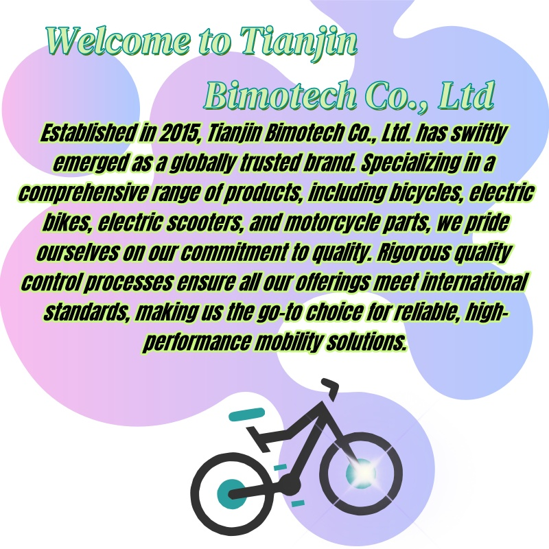 Premium Hot Sale 3 Wheel Cargo Electric Tricycle/48V 350W Reliable Adult E-Tricycle/China Factory High-Capacity Electric Bicycle for Commuting & Utility - detail 19