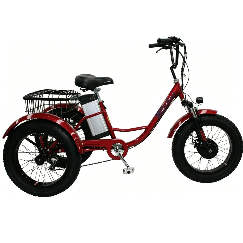 Premium Hot Sale 3 Wheel Cargo Electric Tricycle/48V 350W Reliable Adult E-Tricycle/China Factory High-Capacity Electric Bicycle for Commuting & Utility - detail 4