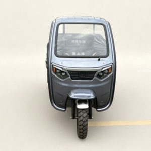 Factory Supply Heavy Duty Electric Cargo Tricycle Strong Load Cargo Electric Tricycle for Agricultural Haulage