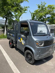 Factory Supply Heavy Duty Electric Cargo Tricycle Strong Load Cargo Electric Tricycle for Agricultural Haulage - detail 14