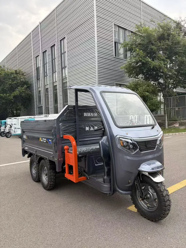 Factory Supply Heavy Duty Electric Cargo Tricycle Strong Load Cargo Electric Tricycle for Agricultural Haulage - detail 5