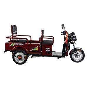 2025 New Hot Sale Model 3 Wheeler Electric Passenger with Cargo Electric Tricycle 650W Motor