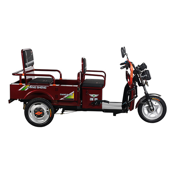 2025 New Hot Sale Model 3 Wheeler Electric Passenger with Cargo Electric Tricycle 650W Motor