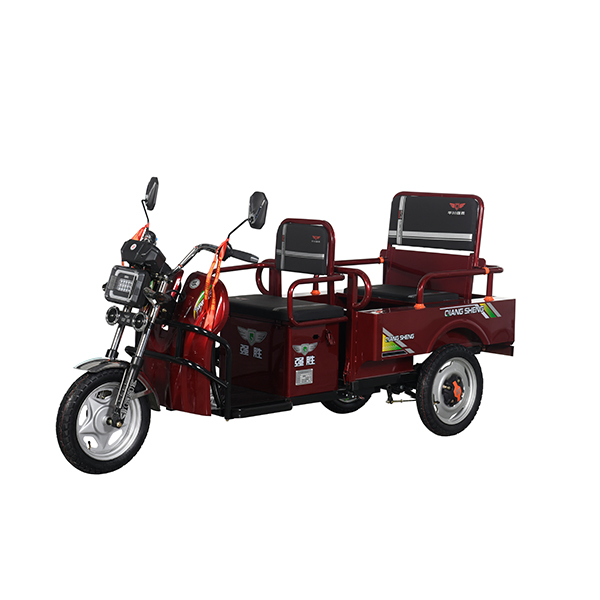 2025 New Hot Sale Model 3 Wheeler Electric Passenger with Cargo Electric Tricycle 650W Motor - Image 3