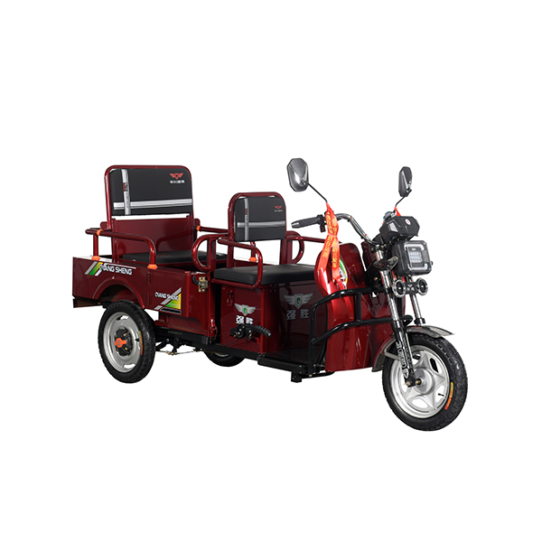 2025 New Hot Sale Model 3 Wheeler Electric Passenger with Cargo Electric Tricycle 650W Motor - Image 4