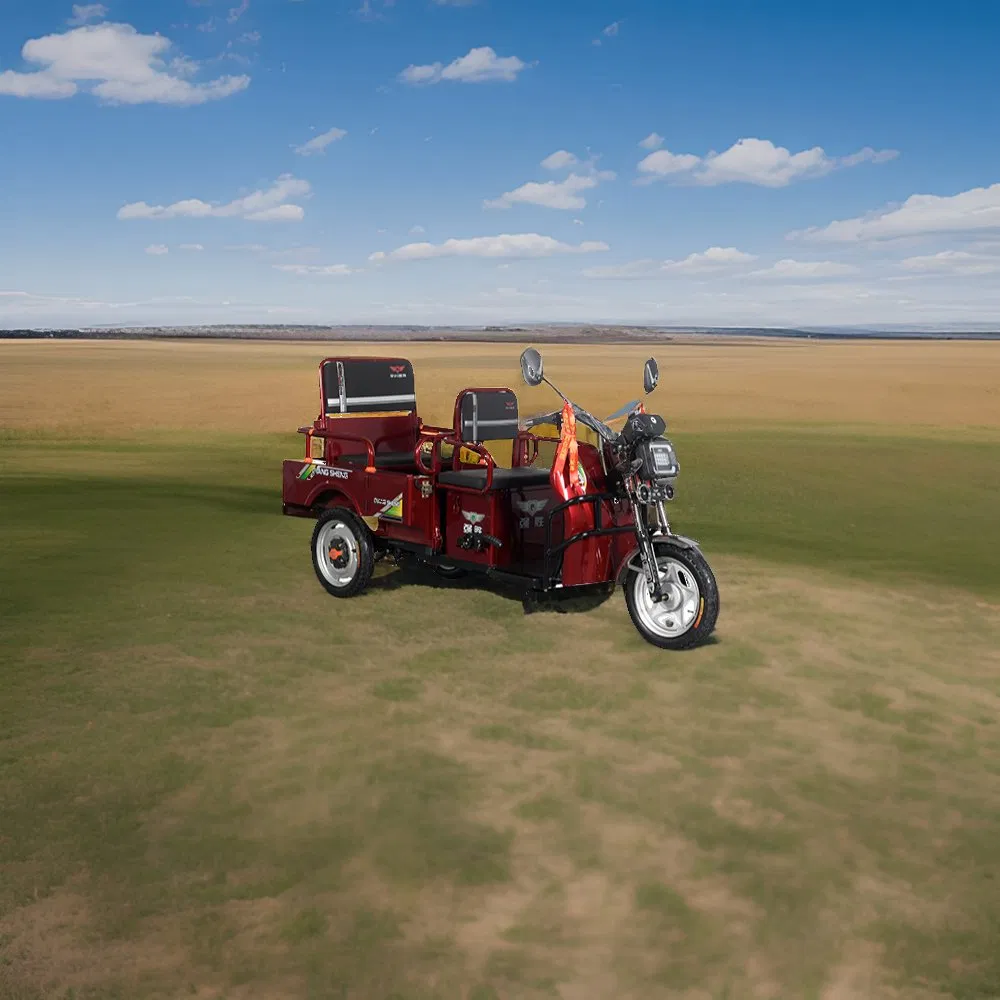 2025 New Hot Sale Model 3 Wheeler Electric Passenger with Cargo Electric Tricycle 650W Motor - Image 6