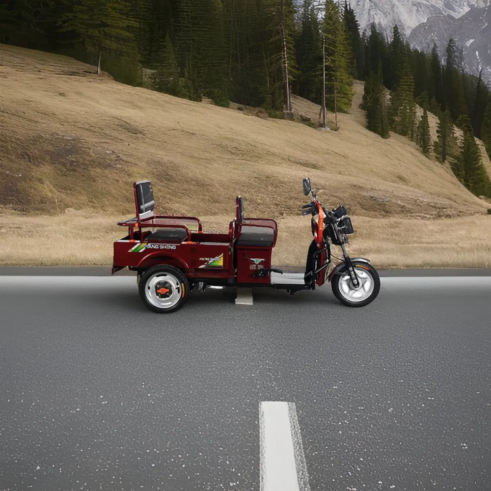 2025 New Hot Sale Model 3 Wheeler Electric Passenger with Cargo Electric Tricycle 650W Motor - detail 1