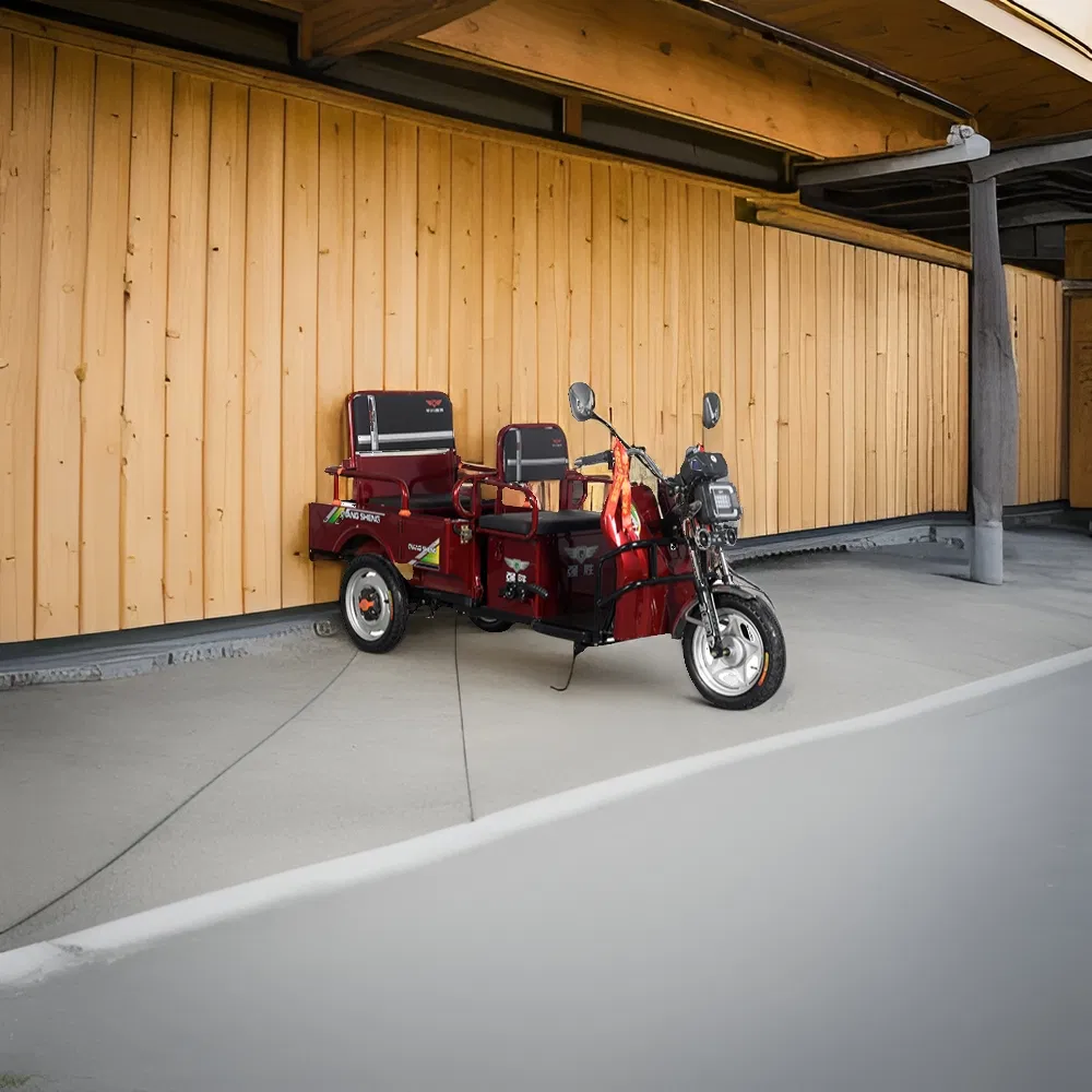2025 New Hot Sale Model 3 Wheeler Electric Passenger with Cargo Electric Tricycle 650W Motor - detail 3