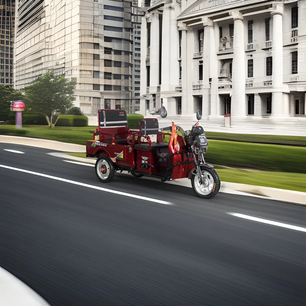 2025 New Hot Sale Model 3 Wheeler Electric Passenger with Cargo Electric Tricycle 650W Motor - detail 5