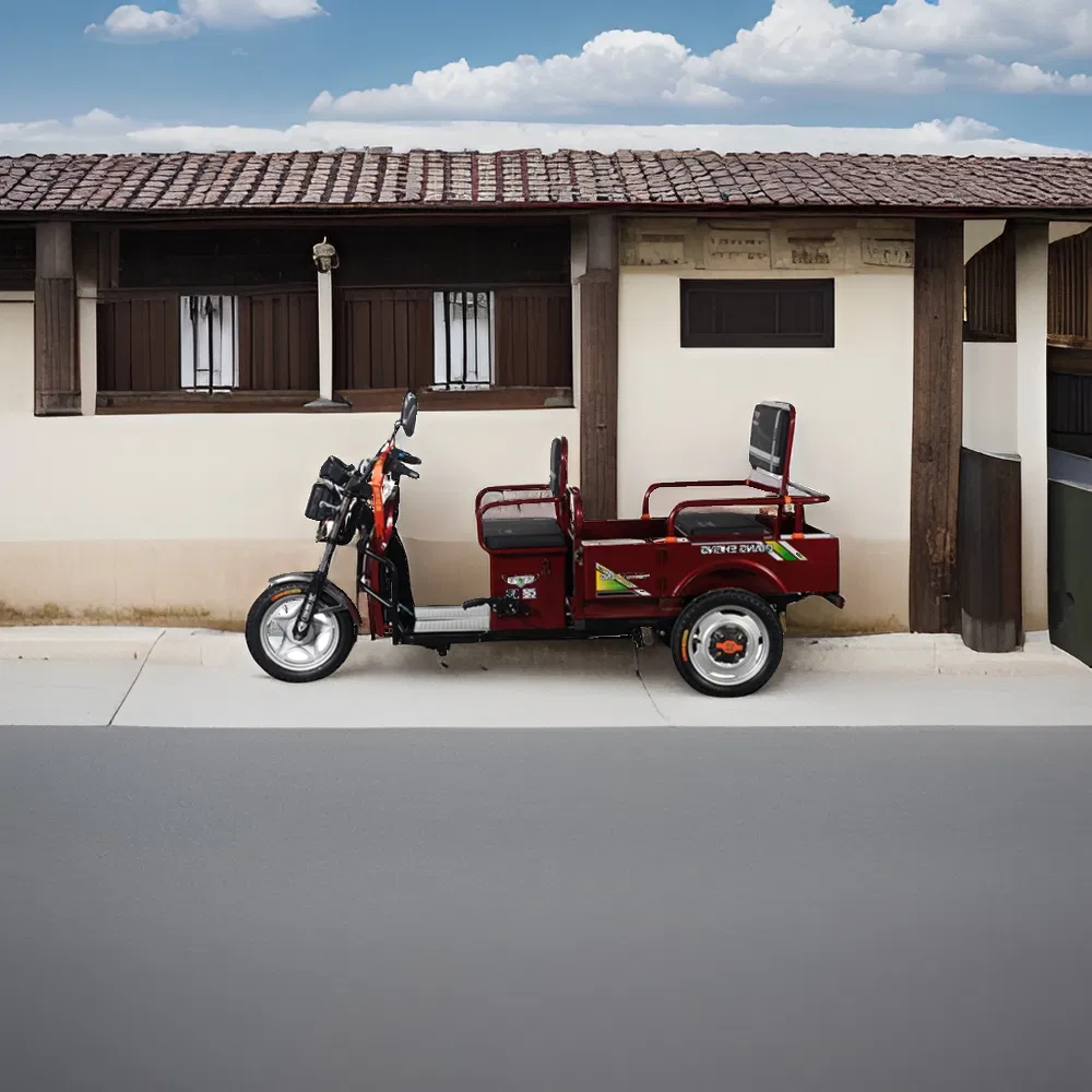 2025 New Hot Sale Model 3 Wheeler Electric Passenger with Cargo Electric Tricycle 650W Motor - detail 6