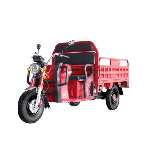 Wholesale Customized 1500W Electric Cargo Tricycle for Adult with EEC Certificate