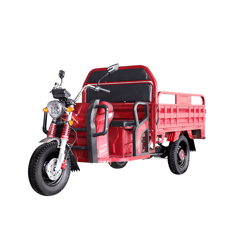 Wholesale Customized 1500W Electric Cargo Tricycle for Adult with EEC Certificate