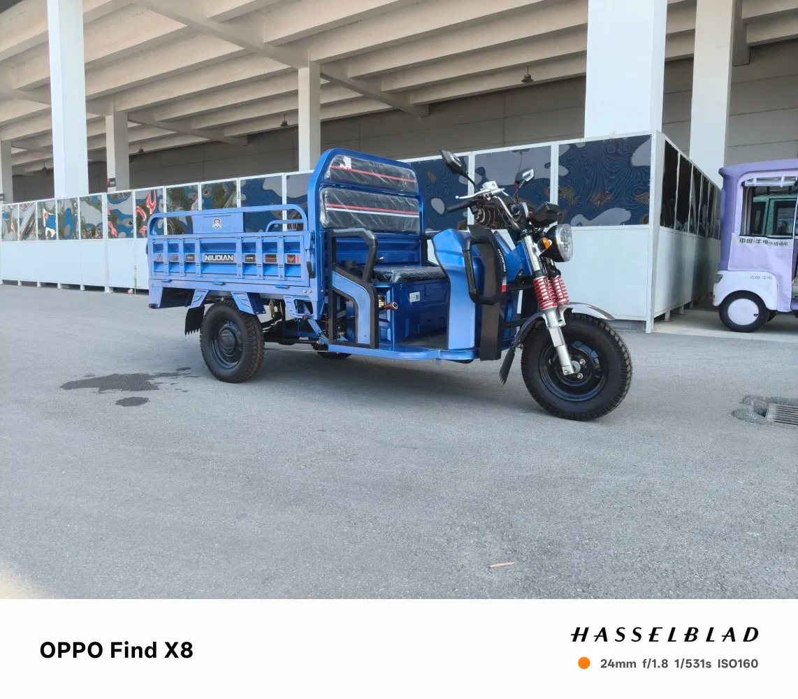 Wholesale Customized 1500W Electric Cargo Tricycle for Adult with EEC Certificate - Image 4