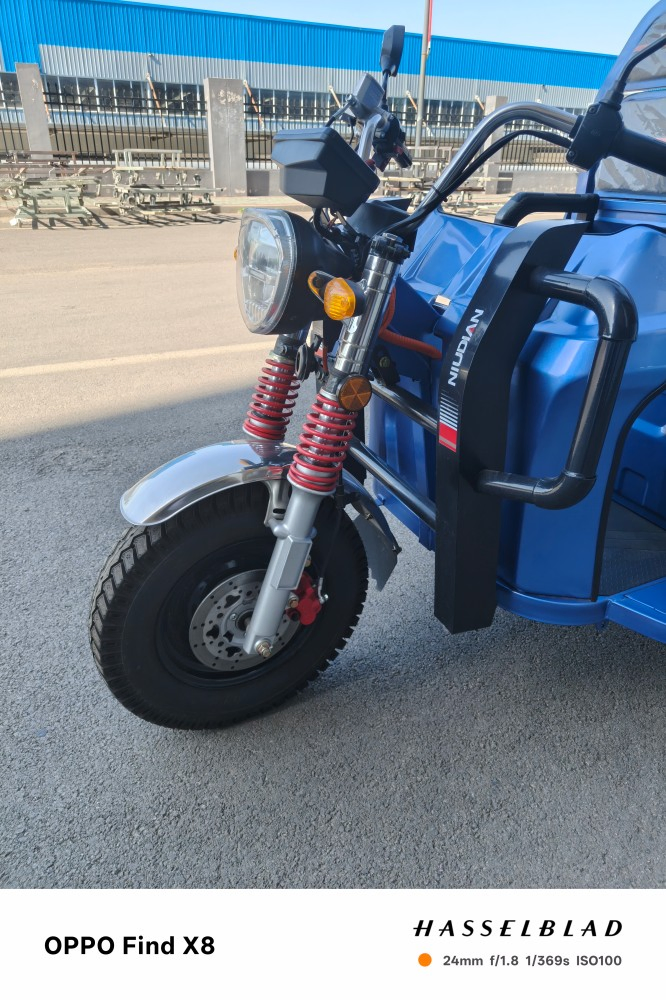 Wholesale Customized 1500W Electric Cargo Tricycle for Adult with EEC Certificate - Image 6
