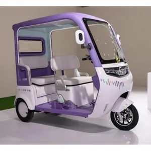 Wholesale Customized 1500W Electric Cargo Tricycle for Adult with EEC Certificate - detail 16