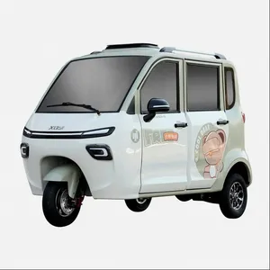 Wholesale Customized 1500W Electric Cargo Tricycle for Adult with EEC Certificate - detail 19