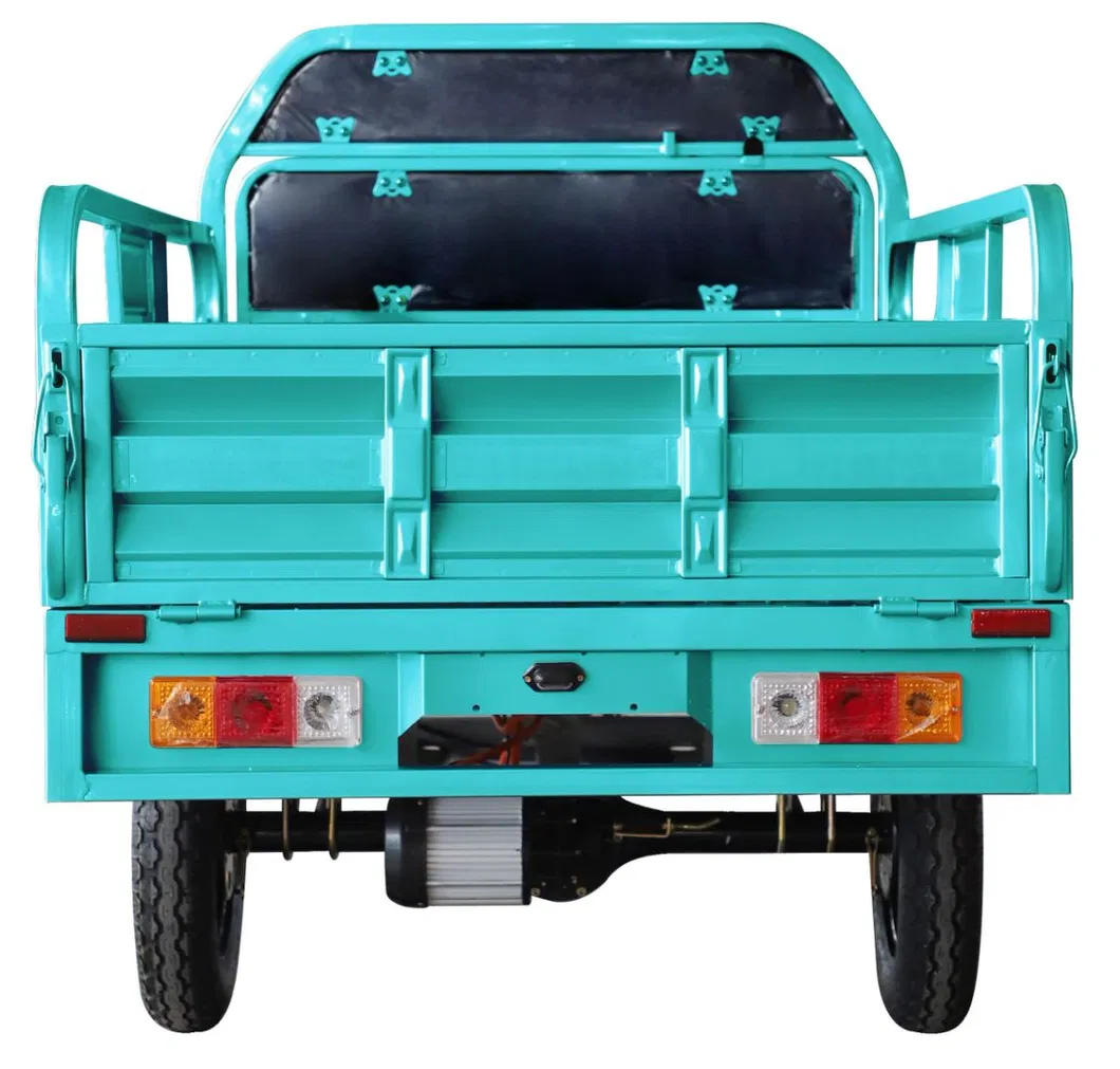 Wholesale Customized 1500W Electric Cargo Tricycle for Adult with EEC Certificate - detail 3