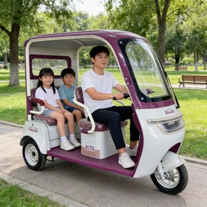 Fully Certified Heavy Duty Cargo Electric Tricycle Industrial Transport 3 Wheel Vehicle - detail 20
