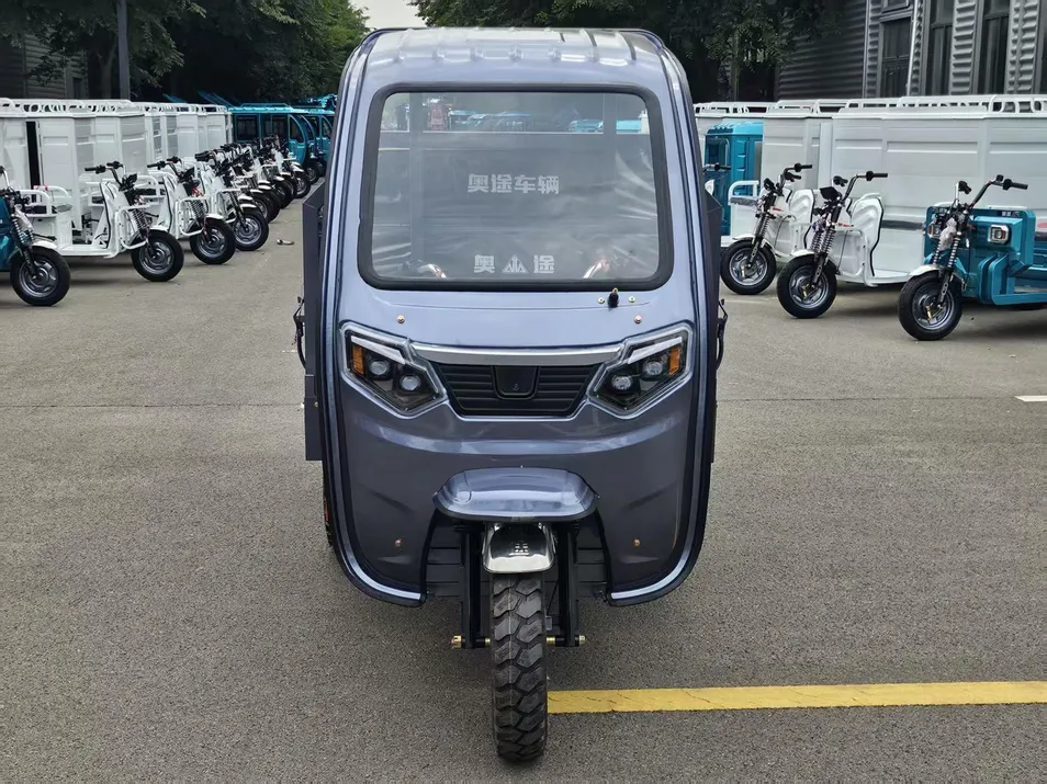 Fully Certified Heavy Duty Cargo Electric Tricycle Industrial Transport 3 Wheel Vehicle - detail 5
