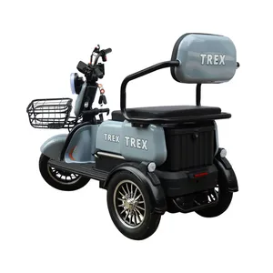 6-8h Charging Times Quiet Motor Low Noise High Speed Electric Cargo Motor Tricycle for Residential Farm Areas - detail 19