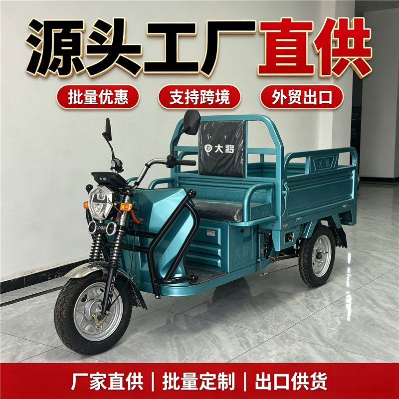 Durable Electric Cargo Tricycle 3 Wheel Delivery Vehicle Load Carrier - Image 2