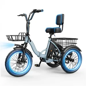 Durable Electric Cargo Tricycle 3 Wheel Delivery Vehicle Load Carrier - detail 7