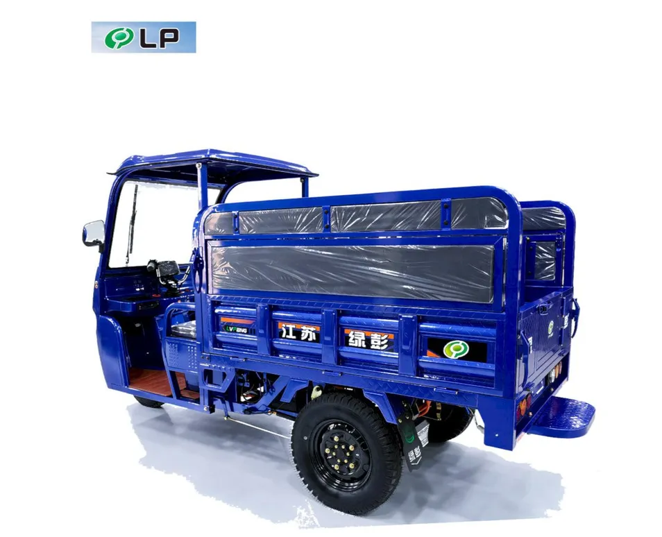 Quiet Operation Long Service Life Passenger Cargo Utility Electric Tricycle - detail 5