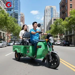 Fengmade New Energy Electric Motor Cargo Tricycle Three Wheel Truck Premium Quality - detail 18