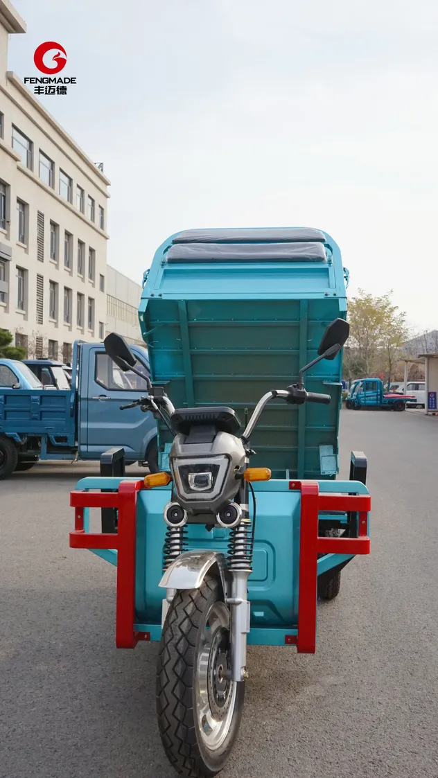 Fengmade New Energy Electric Motor Cargo Tricycle Three Wheel Truck Premium Quality - detail 7