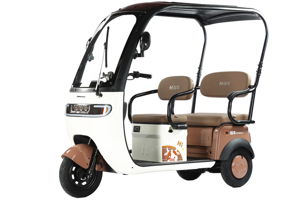 3 Wheel Electric Motorcycle Tricycle with Drive Cabin Electric Scooter Colosed with Passenger Seat Cargo Tricycle for Adults Factory Wholsale Supply Tuk Tuk - detail 3
