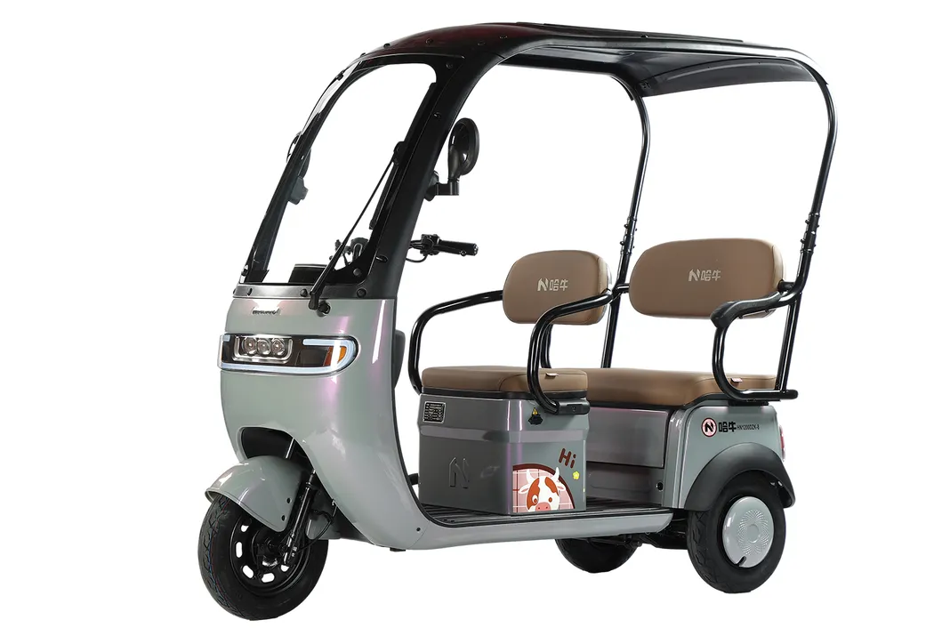 3 Wheel Electric Motorcycle Tricycle with Drive Cabin Electric Scooter Colosed with Passenger Seat Cargo Tricycle for Adults Factory Wholsale Supply Tuk Tuk - detail 4