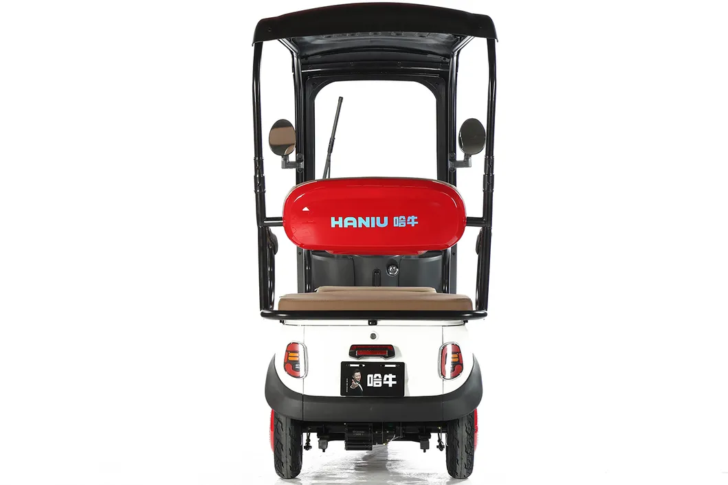 3 Wheel Electric Motorcycle Tricycle with Drive Cabin Electric Scooter Colosed with Passenger Seat Cargo Tricycle for Adults Factory Wholsale Supply Tuk Tuk - detail 8