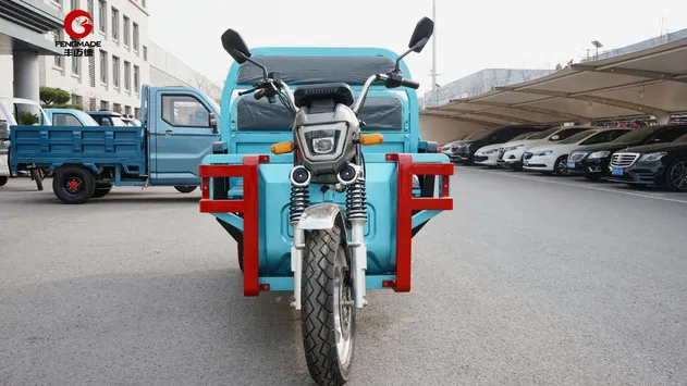 C-H-145 Zhanlang Popular Model Electric Cargo Tricycle - detail 11