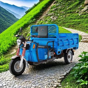 China Electric Cargo Tricycle 3 Wheel Dump Trike for Adults