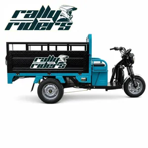 Heavy-Duty Hydraulic Shock Electric Tricycle for Cargo Transport - detail 14