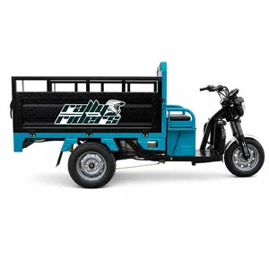 Heavy-Duty Hydraulic Shock Electric Tricycle for Cargo Transport - detail 15