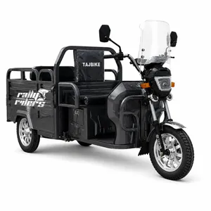 Heavy-Duty Hydraulic Shock Electric Tricycle for Cargo Transport - detail 16